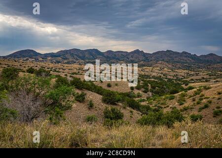 Le montagne di Santa Rita, a circa 40 chilometri a sud-est di Tucson, Arizona, ospitano l'unica jaguar selvaggia conosciuta negli Stati Uniti. Foto Stock