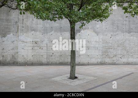 Piccadilly Gardens, Manchester. Foto Stock