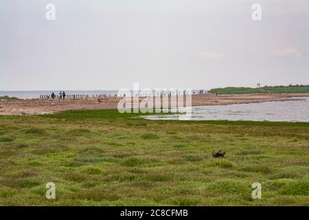 Immagini di erosione costiera e insediamenti lungo la costa dell'East Riding dello Yorkshire da Aldbrough verso sud fino alla punta di testa di ritorno. Foto Stock