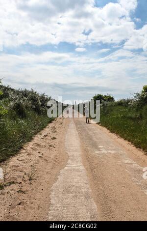 Immagini di erosione costiera e insediamenti lungo la costa dell'East Riding dello Yorkshire da Aldbrough verso sud fino alla punta di testa di ritorno. Foto Stock