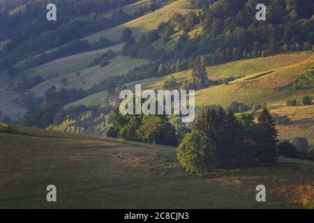 Alba estiva nel villaggio della Transilvania. Paesaggio avverso in Transilvania, all'alba Foto Stock
