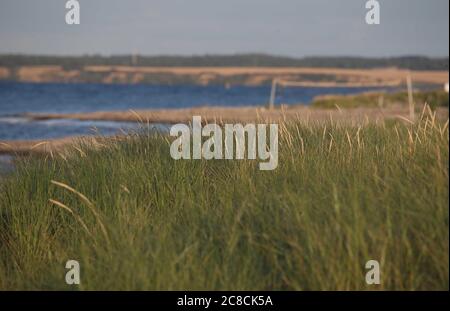 Hohwacht, Germania. 2020 luglio. Firo: 22.07.2020 Mar Baltico, onde, mare, tramonto, caratteristica, paese e persone, GRV§ser am Strand, Schleswig-Holstein, Kvºste, Hohwachter Bucht, viaggio, vacanza in Germania, depositario, sfondo, | utilizzo nel mondo Credit: dpa/Alamy Live News Foto Stock