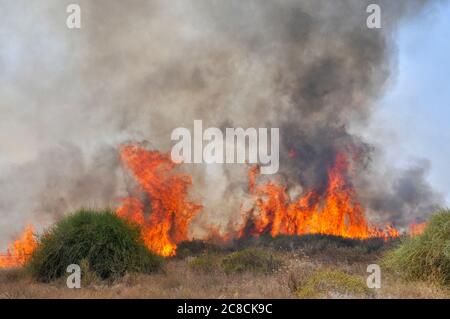 Campo di masterizzazione causato da Kite bombe che sono state percorse da Gaza con un acceso benzina panno imbevuto per impostare gli incendi all'israeliano i campi e le colture. Fotografato su Foto Stock