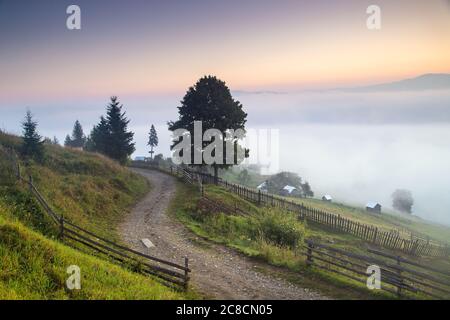 Alba estiva nel villaggio della Transilvania. Paesaggio avverso in Transilvania, all'alba Foto Stock