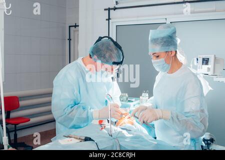 Team medico che esegue operazioni sul naso. Gruppo di chirurgo al lavoro in sala operatoria Foto Stock