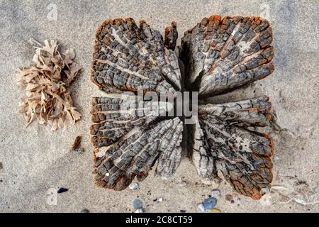 Immagini di erosione costiera e insediamenti lungo la costa dell'East Riding dello Yorkshire da Aldbrough verso sud fino alla punta di testa di ritorno. Foto Stock