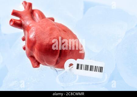 Traffico di organi umani, mercato nero di organi interni e tema di concetto di procedura medica illegale con cuore donatore congelato con tag e codice a barre allegati, p Foto Stock