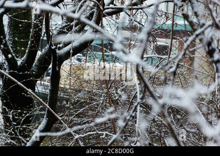 Vecchia casa galleggiante ormeggiata al molo del fiume Marne visto attraverso rami di alberi coperti di neve durante la tempesta di neve in inverno. Francia. Fuoco selettivo sul twig Foto Stock