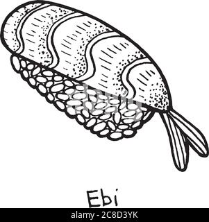 Sushi EBI - illustrazione dello schizzo. Nigiri con il gamberetto e il riso. Pesce giapponese. Illustrazione vettoriale Illustrazione Vettoriale