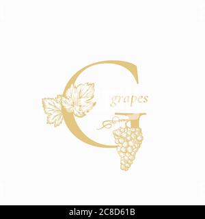 Lettera Grape G. Abstract Vector Sign, Symbol or Logo Template (simbolo o modello logo). Grappolo di uva disegnato a mano e foglie intorno alla lettera. Emblema di lusso in stile vintage. Illustrazione Vettoriale