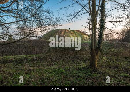Thetford Castle, vista del motte del 11 ° secolo - o enorme tumulo - su cui un castello normanno una volta sorgeva in Castle Park, Thetford, Norfolk, Inghilterra, Regno Unito Foto Stock