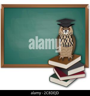 Insegnante di gufo con cappello di laurea su una pila di libri e lavagna Foto Stock