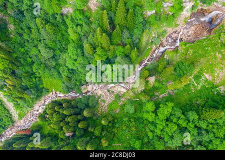 Torrente montano con cascata su detti flussi tra una fitta foresta di conifere e di alberi decidui, vista dall'alto Foto Stock