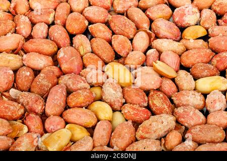 arachidi arrosto con chiocciole di sale Foto Stock