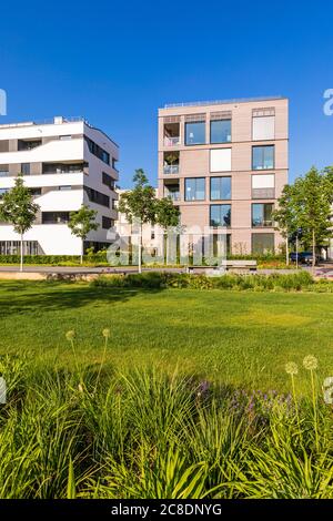 Germania, Baden-Wrttemberg, Heilbronn, Neckar, distretto di Neckkarbogen, nuovi edifici ad alta efficienza energetica Foto Stock