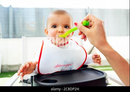 Mano tagliata di madre che alimenta il figlio carino seduto in alto sedia a casa Foto Stock