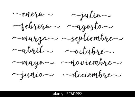 Mesi dell'anno con lettere a mano in spagnolo. Lettere per Calendario, Organizzatore, Planner Illustrazione Vettoriale