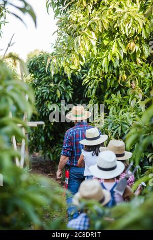 Grandfahter con gruppo di bambini in giardino Foto Stock