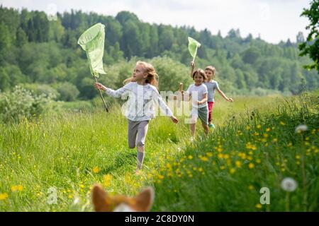 Amici che tengono le reti a farfalla mentre corrono su terra erbosa dentro foresta Foto Stock