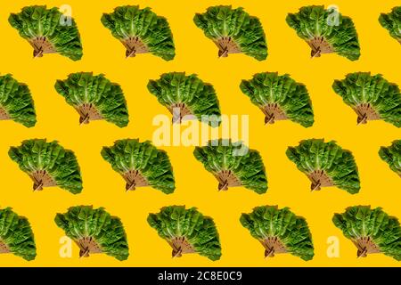 Modello di ventilatori a mano fatti di foglie di lattuga Foto Stock