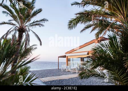 Spagna, Granada, Almunecar, ristorante sulla spiaggia con palme in primo piano Foto Stock