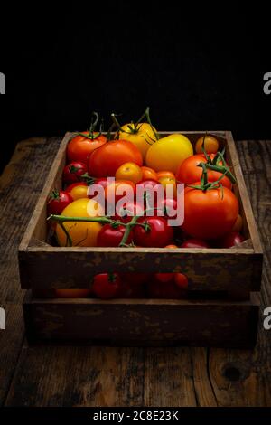 Pomodori freschi in cassa di legno Foto Stock