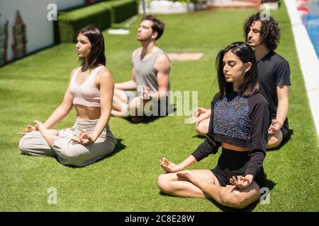 Giovane mala e le amiche meditano mentre praticano lo yoga erba sul cortile posteriore durante il sole Foto Stock