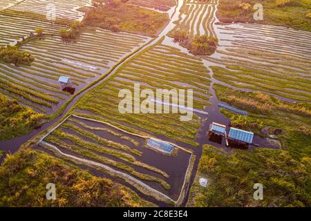 Myanmar, Shan state, Nyaungshwe Township, vista aerea dei giardini galleggianti sul lago Inle Foto Stock