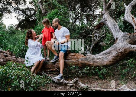 Famiglia rilassante su albero caduto in foresta Foto Stock