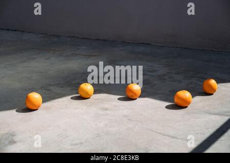 Linea di arance sul bordo di un'ombra Foto Stock