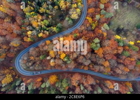 Germania, Baviera, drone vista di strada di campagna tortuosa che taglia attraverso la foresta autunnale in Steigerwald Foto Stock