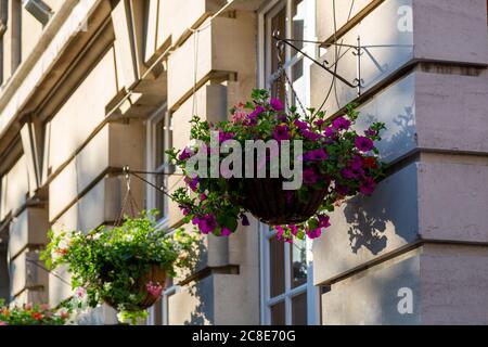 Un cestino appeso pieno di fiori sul lato di un edificio georgiano Foto Stock