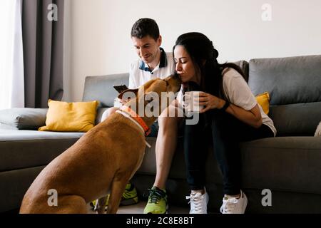 Donna che bacia il cane da compagnia mentre si siede sul divano a casa Foto Stock