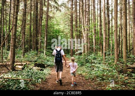 Uomo che tiene le mani di figlia mentre camminando in bosco Foto Stock