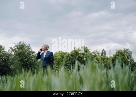 Uomo d'affari anziano al telefono su un campo nel campagna Foto Stock