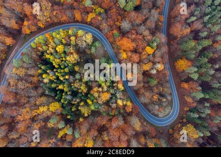 Germania, Baviera, drone vista di strada di campagna tortuosa che taglia attraverso la foresta autunnale in Steigerwald Foto Stock