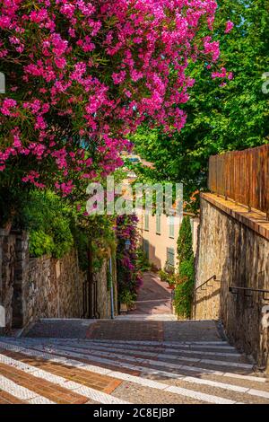 Il quartiere della città vecchia di Cannes con i suoi vicoli Foto Stock