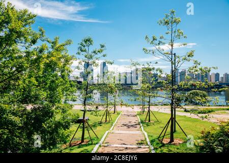 Ttukseom Hangang Park in estate a Seoul, corea Foto Stock