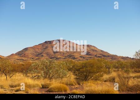 Vista panoramica della vegetazione di montagna e cespuglio del paesaggio dell'entroterra di Pilbara nell'Australia Occidentale, con cielo azzurro soleggiato come sfondo. Foto Stock