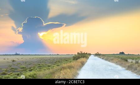 La strada attraverso le lagune durante il bellissimo tramonto in Camarque riserva naturale regionale, Provenza Alpi Costa Azzurra, Francia Foto Stock