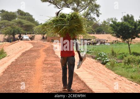 Un uomo che cammina e porta un grande sacco di fieno sulla testa Foto Stock