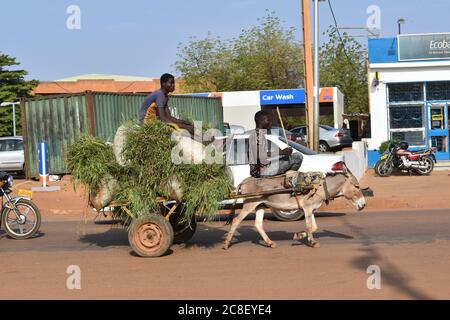 Un asino che tira un carro carico di fieno lungo una strada africana (con due passeggeri) Foto Stock