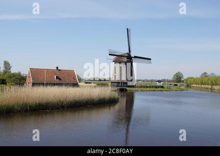 Un antico mulino olandese dal tetto di paglia (1579) chiamato De Viaan nei Paesi Bassi vicino alla città di Alkmaar. Paesi Bassi, aprile Foto Stock