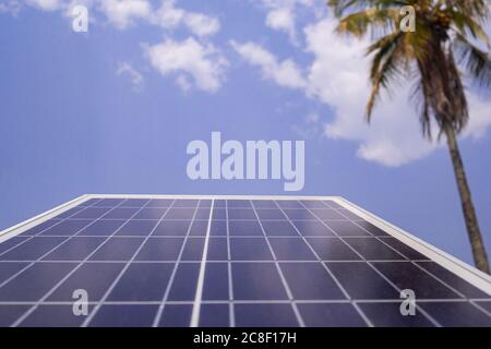 Primo piano di pannelli di celle solari con albero di cocco e sfondo blu cielo. Impianto fotovoltaico per fornire luce di notte. Concetto di energia e. Foto Stock