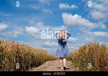 ragazza dai capelli rossi che cammina lungo la strada nel mezzo di un campo di vista posteriore di grano Foto Stock