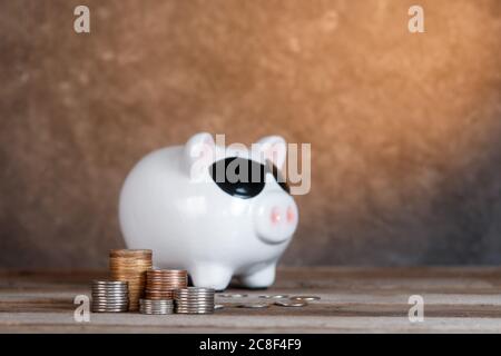 accumulo di denaro. airbag finanziario. banca piggy con monete Foto Stock