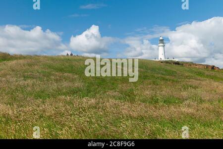 Paesaggio con erbe in primo piano e faro all'orizzonte sotto il cielo blu con nuvole sparse in estate a Flamborough, Yorkshire, UK> Foto Stock