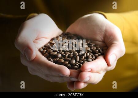 Primo piano di mani di Mans che tengono i chicchi di caffè tostati. Foto di alta qualità. Foto Stock