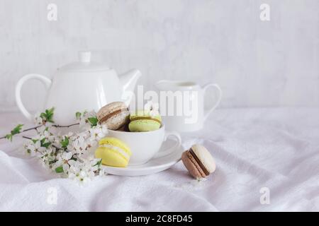 Gustosi macaroni francesi e un set da tè con rami fioriti su sfondo bianco. Colori pastello. Sfondo di primavera. Foto Stock