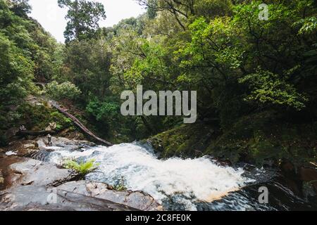 McLean Falls, Catlins Forest Park, Nuova Zelanda Foto Stock